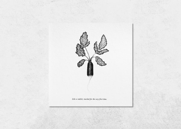 carte fun radis en noir et blanc