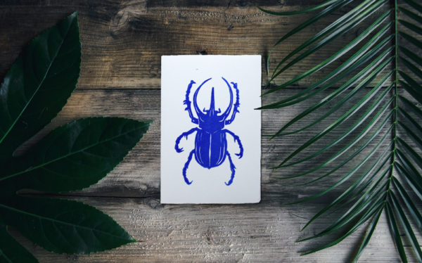 carte pikai scarabée coleoptère bleu