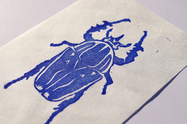 focus dans la carte imprimée en bleu du scarabée