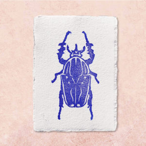 carte coleoptere martin bleu