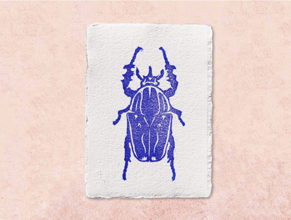carte coleoptere martin bleu