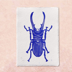 carte coleoptere Averell bleu sur fond rose