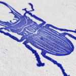 coleoptère bleu sur papier artisanal