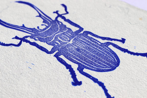 coleoptère bleu sur papier artisanal