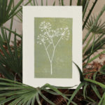 carte eucalyptus vert