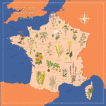 carte cultures de france en différentes couleurs