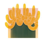 carte cactus jaune le blond vue de près