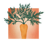 illustration manuelle de carotte