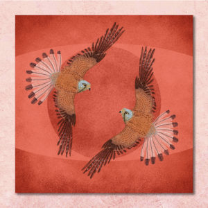poster carte Faucons sur fond texture rouge