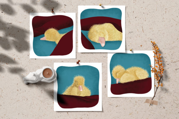 lot de 4 cartes sleepy ducky